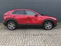 Mazda CX-30 2.5l (140PS) Takumi Leder Schwarz Bose NEU Rot - thumbnail 5