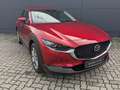 Mazda CX-30 2.5l (140PS) Takumi Leder Schwarz Bose NEU Rot - thumbnail 3