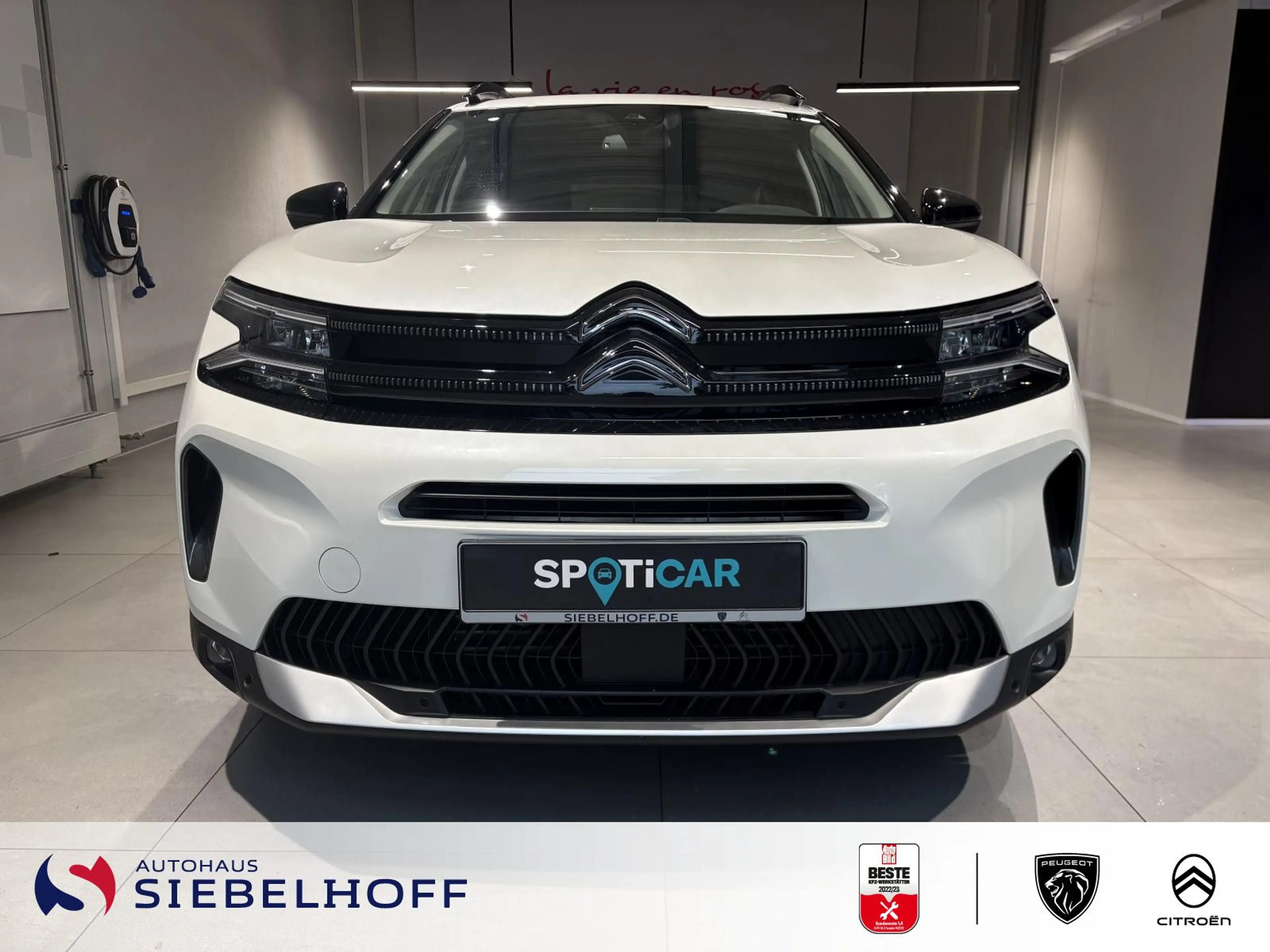 Citroen C5 Aircross Shine Pack PureTech 130 EAT8 — photo 3