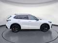 Volkswagen Tiguan 2.0 TDI SCR 4MOTION DSG R-Line *AHK*HEAD- Weiß - thumbnail 6