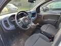 Fiat Panda 1.0 FireFly Hybrid Blau - thumbnail 4