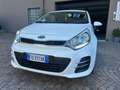 Kia Rio Rio III 2011 5p 1.1 crdi Active E6 Bianco - thumbnail 3