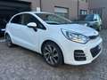Kia Rio Rio III 2011 5p 1.1 crdi Active E6 Bianco - thumbnail 2