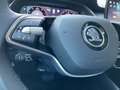 Skoda Octavia Combi 2.0 TDI Selection HUD StandHZG AHK Panodach Grau - thumbnail 22