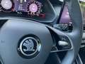 Skoda Octavia Combi 2.0 TDI Selection HUD StandHZG AHK Panodach Grau - thumbnail 23
