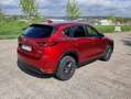 Mazda CX-5 CX-5 2.0i SKYACTIV-G 2WD Premium Edition Rood - thumbnail 3