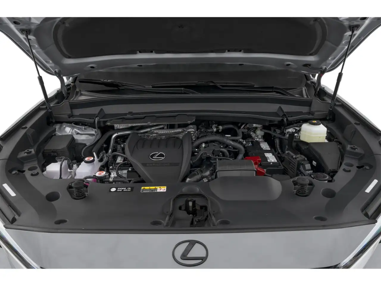 Lexus TX photo Lexus TX