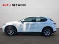 Alfa Romeo Stelvio 2.2 Turbodiesel 160 CV AT8 RWD Business Blanc - thumbnail 7