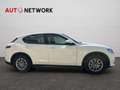 Alfa Romeo Stelvio 2.2 Turbodiesel 160 CV AT8 RWD Business Blanc - thumbnail 8