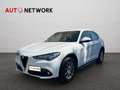 Alfa Romeo Stelvio 2.2 Turbodiesel 160 CV AT8 RWD Business Blanc - thumbnail 3
