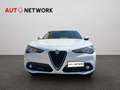 Alfa Romeo Stelvio 2.2 Turbodiesel 160 CV AT8 RWD Business Blanc - thumbnail 5