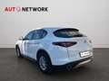 Alfa Romeo Stelvio 2.2 Turbodiesel 160 CV AT8 RWD Business Blanc - thumbnail 2