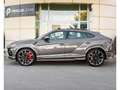 Lamborghini Urus 4.0 V8 Auto./PANO/23/360/B\u0026O/HUD/CARBON/VOLL Gris - thumbnail 3