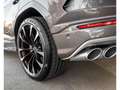 Lamborghini Urus 4.0 V8 Auto./PANO/23/360/B\u0026O/HUD/CARBON/VOLL Gris - thumbnail 6