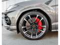 Lamborghini Urus 4.0 V8 Auto./PANO/23/360/B\u0026O/HUD/CARBON/VOLL Gris - thumbnail 29