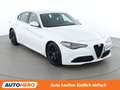 Alfa Romeo Giulia 2.2 JTDM Super Weiß - thumbnail 8