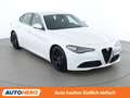 Alfa Romeo Giulia 2.2 JTDM Super Weiß - thumbnail 8