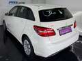 Mercedes-Benz B 180 B 180 CDI / d (246.212) Weiß - thumbnail 6