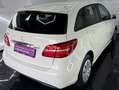 Mercedes-Benz B 180 B 180 CDI / d (246.212) Weiß - thumbnail 4