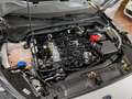Ford Focus 1.0 Ecoboost Hybrid ST-Line 125cv Plateado - thumbnail 26