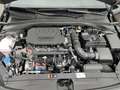 Kia Ceed / cee'd Ultimate Edition 1.5T DCT Style-Paket Navi ACC App Zwart - thumbnail 14