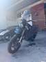 Benelli Leoncino Nero - thumbnail 5