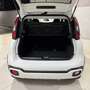 Fiat Panda Panda Cross 1.0 firefly hybrid City Cross Weiß - thumbnail 4