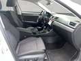 Skoda Superb Combi 2.0 TDI DSG Style Weiß - thumbnail 12