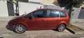 Ford Focus C-Max Focus C-Max 2.0TDci Ghia Ghia Rojo - thumbnail 8