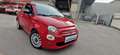 Fiat 500 anche per NEOPATENTATI  1.0 Hybrid Lounge Rouge - thumbnail 2