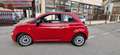 Fiat 500 anche per NEOPATENTATI  1.0 Hybrid Lounge Rouge - thumbnail 4