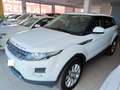 Land Rover Range Rover Evoque 2.2L TD4 Pure Tech 4x4 Aut. Blanc - thumbnail 1