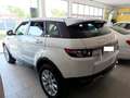 Land Rover Range Rover Evoque 2.2L TD4 Pure Tech 4x4 Aut. Blanc - thumbnail 3