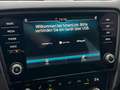 Skoda Octavia 2.0 Style Limited DSG Schwarz - thumbnail 15