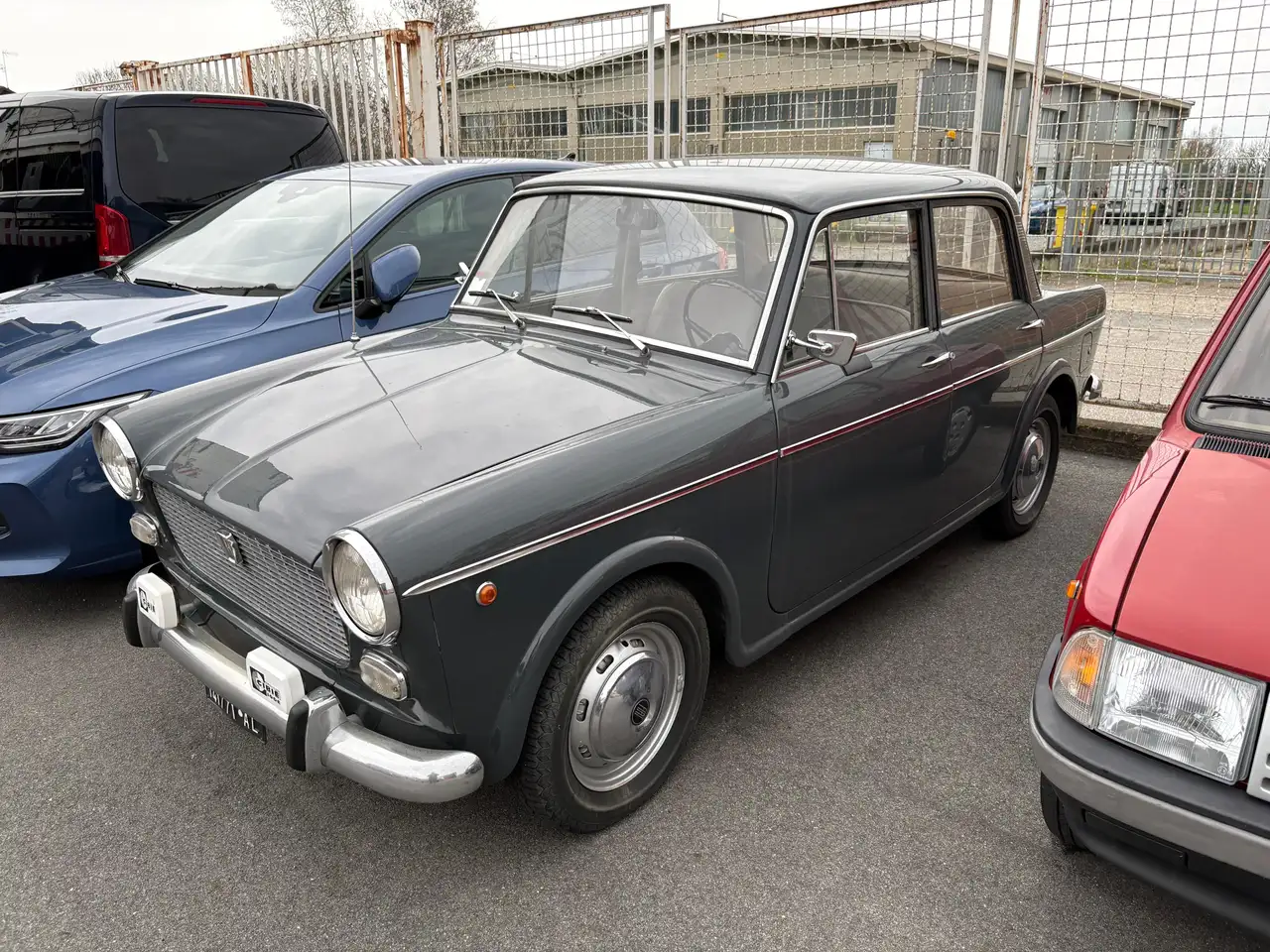 Fiat 1100D, foto 3