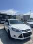 Ford Focus 1.0 EcoBoost Start-Stopp-System Titanium Weiß - thumbnail 1