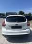 Ford Focus 1.0 EcoBoost Start-Stopp-System Titanium Weiß - thumbnail 6