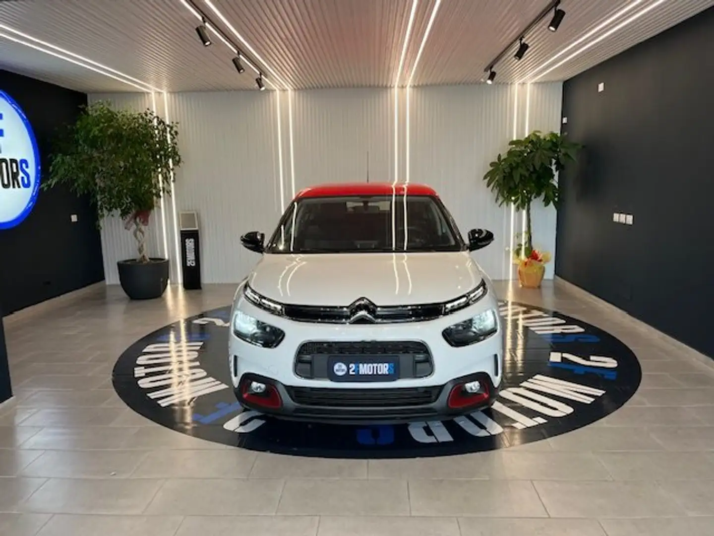 Citroen C4 Cactus 1.5 bluehdi Shine s Bianco - 2