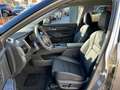 Nissan X-Trail e-Power e-4orce N-Connecta°19°NAVI°360°K Oro - thumbnail 10