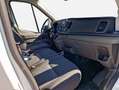 Ford Transit 350 L3H2 Lkw VA Trend Bianco - thumbnail 10