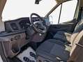 Ford Transit 350 L3H2 Lkw VA Trend Bianco - thumbnail 7