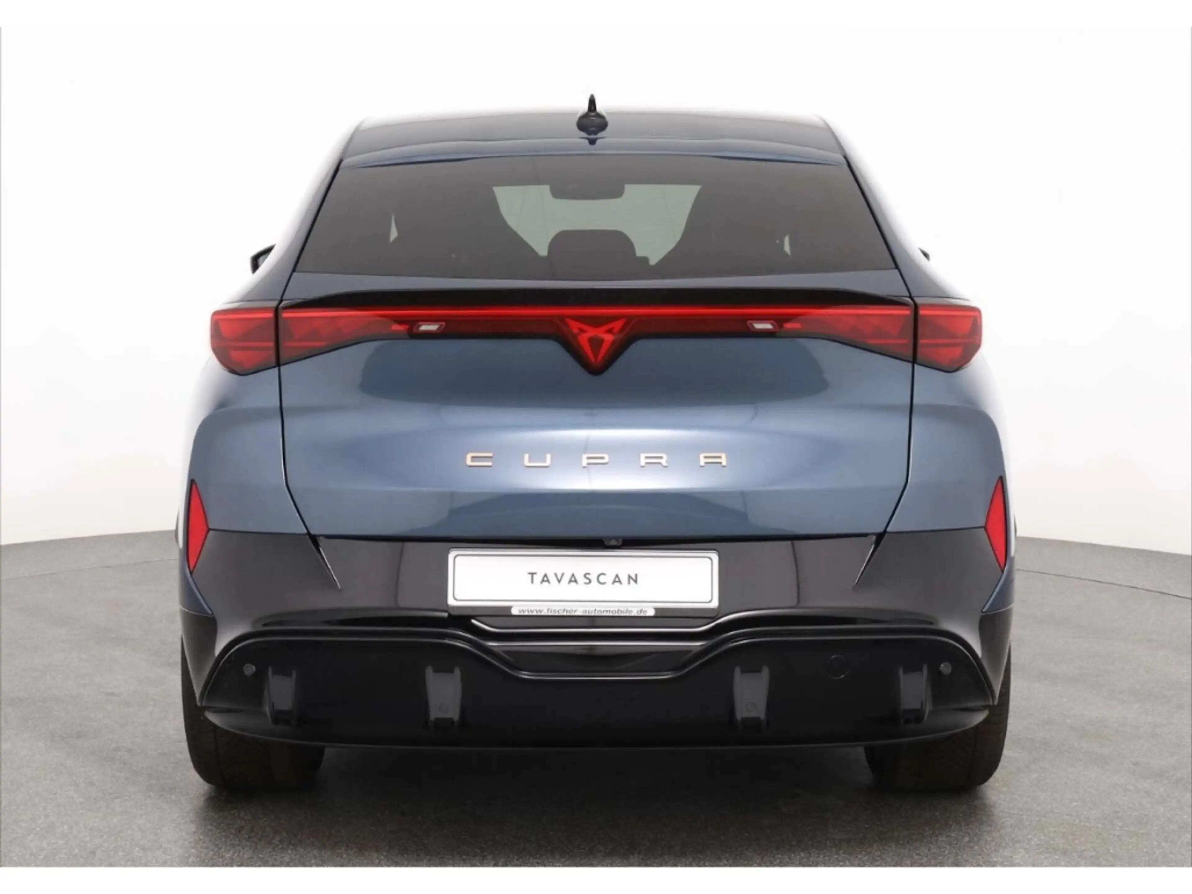 CUPRA Tavascan Endurance — photo 6