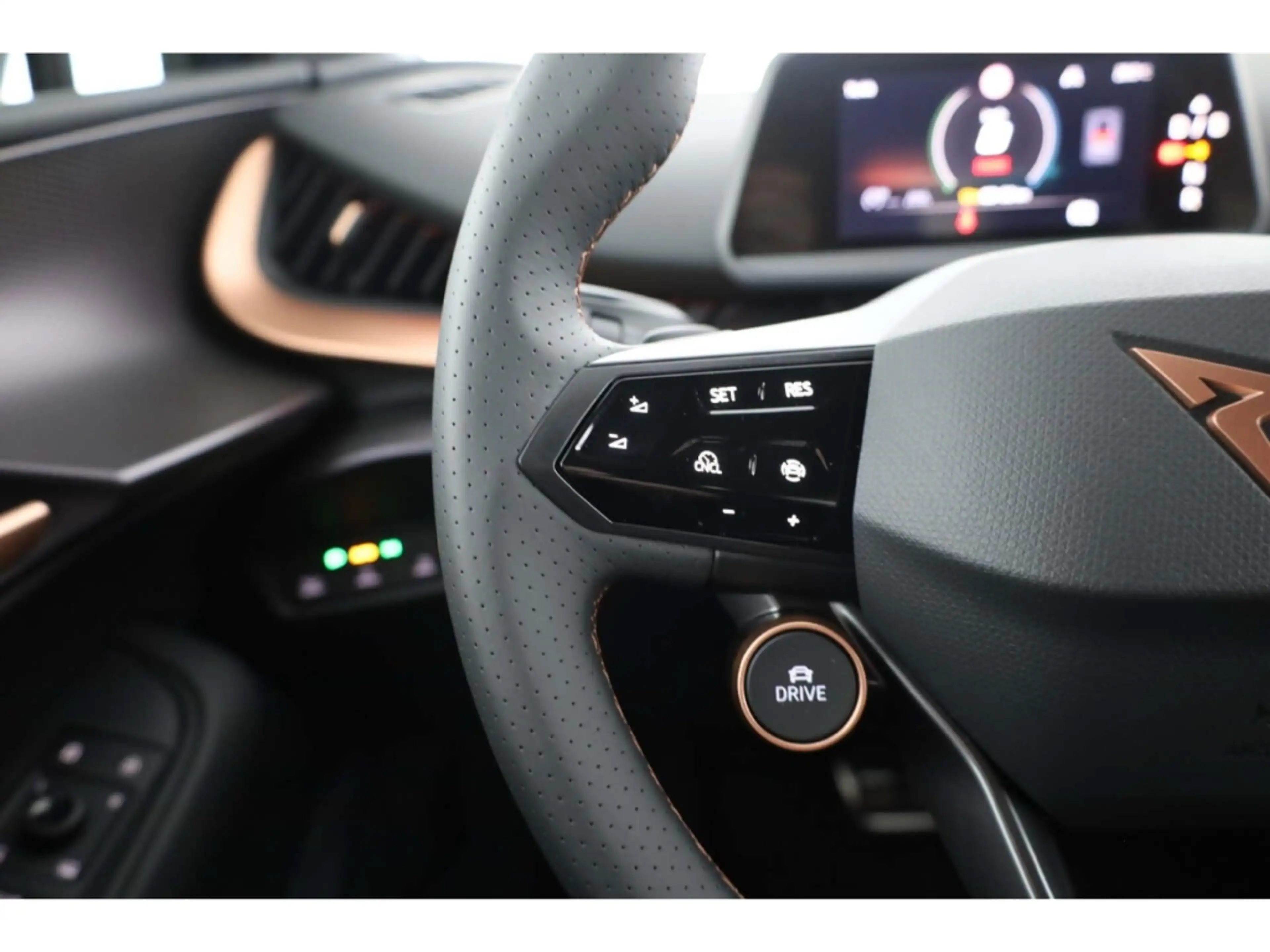 CUPRA Tavascan Endurance — photo 14