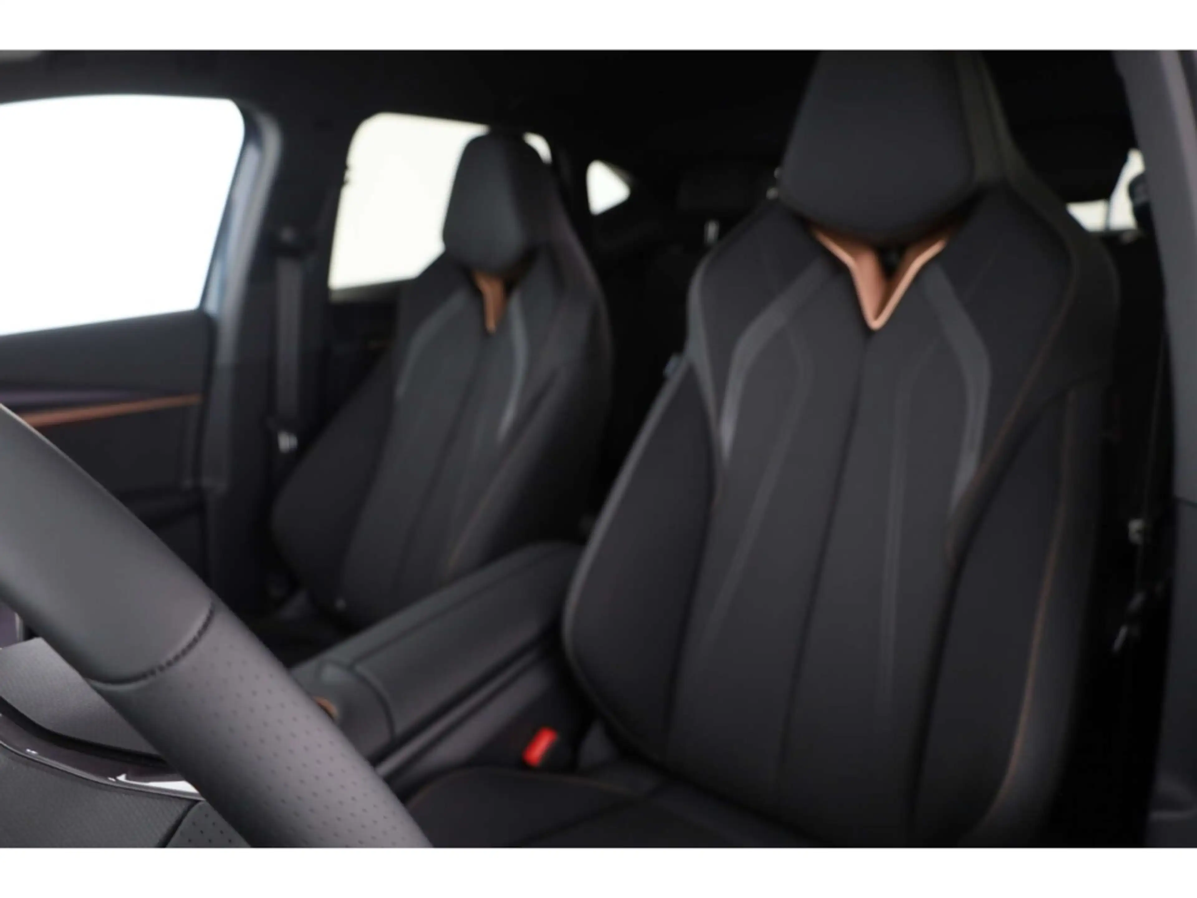 CUPRA Tavascan Endurance — photo 10