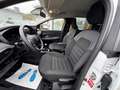 Dacia Jogger Comfort *LPG GAS*SHZ*TEMP*19TKM* Weiß - thumbnail 10