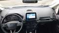 Ford EcoSport 1.0 EcoBoost Titanium Argento - thumbnail 8