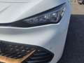 CUPRA Born BORN EDITION DYNAMIC 170 KW 77 KWH 5J. GAR.*NAVI Blanco - thumbnail 14