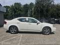 Dodge Avenger 2.7 V6 SXT Automaat Weiß - thumbnail 3