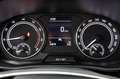 Skoda Fabia 1.0 TSI Ambition PDC LED Carplay Sitzheiz Weiß - thumbnail 19