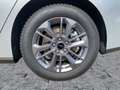 Ford Focus TITA 5W 1.0T 125 MHEV M6 FWD LM-Felgen Silber - thumbnail 12